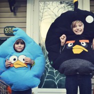 Two Angry Birds