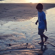 aug at sunset